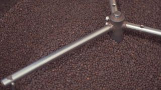Academy of Coffee