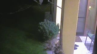 Ako mi líška kradne papuče 1