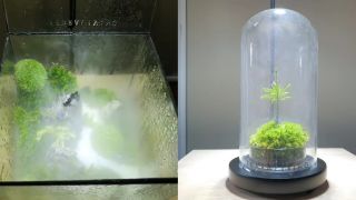Unikátne mini-skleníky pre váš domov a kanceláriu