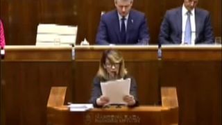 Lucia Nicholsonová - kokaínový prípad