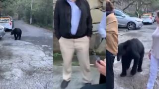 Divoký medveď hladkal ženu po vlasoch (Monterrey)