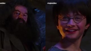 Hagrid vedel, čo poteší Harryho!