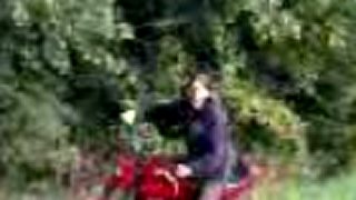 Freestyle motocross 