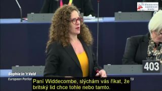 Hádka v EP: Ann Widdecombe (Brexit Party) vs Sophia Veld