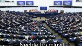 Poslanci sa vzopreli k zákazu vlajok (Brusel)