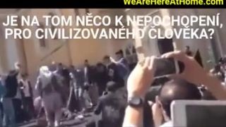 Islam v praxi