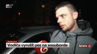 Vodiča vraj vyrušil pes na snowboarde (Slovensko)