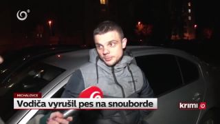 Vodiča vyrušil pes na snowboarde