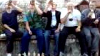 Pivková vlna