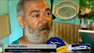 Róm skonzumoval tisíce psov