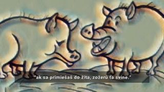 Zsolt Simon zverejnil svoj predvolebný spot