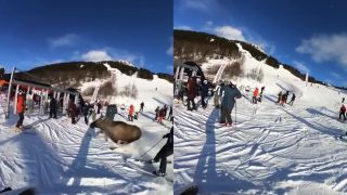 Riziká a nástrahy lyžovačky vo Švédsku