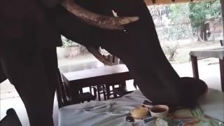 Hlavne sa nehýbať (Zambia)