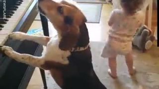 Sólo na piane