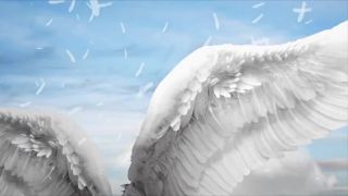 Podivuhodná věda (4. epizoda) (Stav moderní vědy)