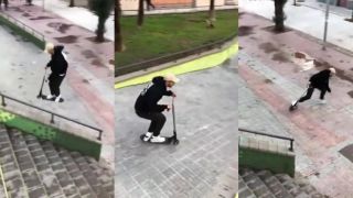 Otočka a tresk do stromu