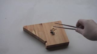 Cesium je najaktívnejší kov na Zemi!