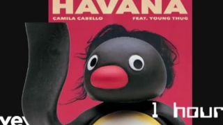 Pinoki - Pingana (Havana by Camila Cabello) 1 hodina