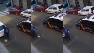 Muž šiel vyvenčiť plyšovú hračku Španielsko)