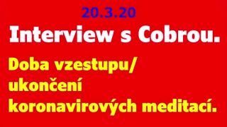 Interview s Cobrou–Doba vzestupu