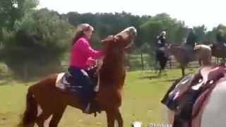 Hej koňu znáš backflip