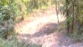 Vid.1