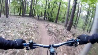 Palfyho trail s kamošmi 2020 ,