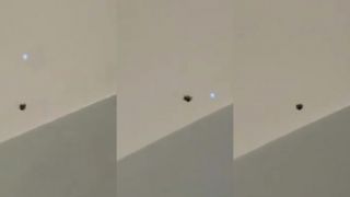 Ako reaguje pavúk na laser?