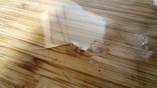 Rozmnožovanie rastlín prenos na väčšie vzdialenosti