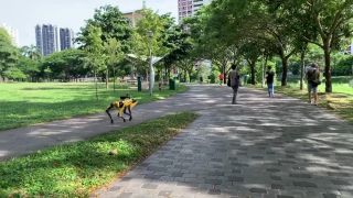 Spot mini dostal prvý job: v Singapure ním buzerujú ľudí