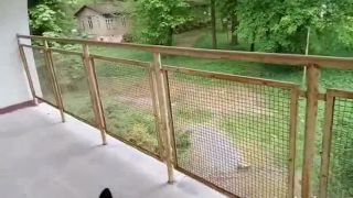 Zažili ste už strašenie v zakliatom zámku?