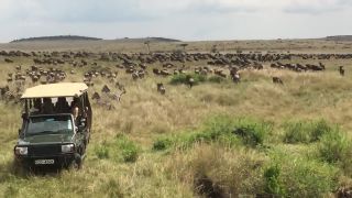 Levici lov nevyšiel, od matky schytala poriadnu kopačku (safari)