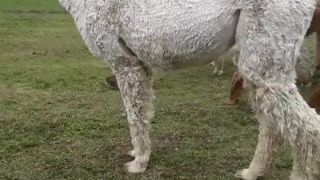 Keď programátori uvidia ženu programátorku