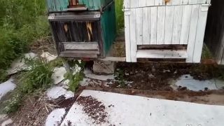 Mystická poklona pre kráľovnú hradov a vinohradov