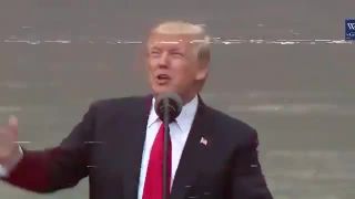 Donald Trump - Blinding Lights (The Weeknd Cover)