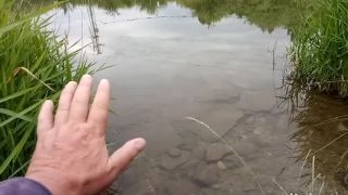 Aj vy si skroťte svoju zázračnú rybku na jazere