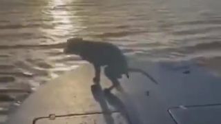 Tej plavby sa tak bál, že sa vysral na palube