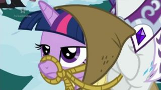 My little pony, přátelství je magické 2x11