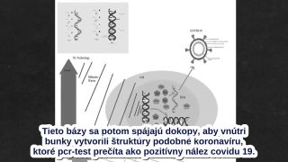 Ako budeme všetci pozitívne testovaní na Covid - 19