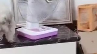Je mi horko, idem si zapnúť ventilátor