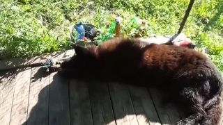 Tak vezmete mu kostičku bez odrafnutia prstov?