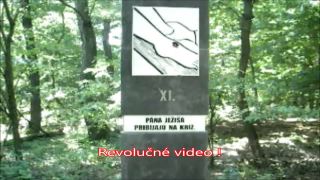 Revolučné video