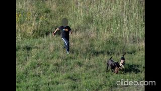 Poľovníci vs psíčkari. Príklad trestného činu psíčkara pytliaka