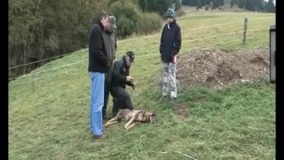 Poľovníci vs ochranári - Príklad trestného činu pytliaka poľovní