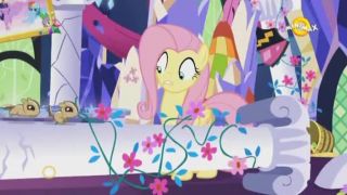 My little pony,přátelství je magické 5x3