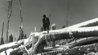 Veterná kalamita 1955. Čas jsou peníze