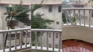 Tancujúca palma pod balkónom