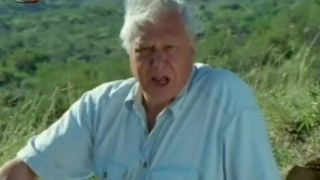 David Attenborough o preľudnení