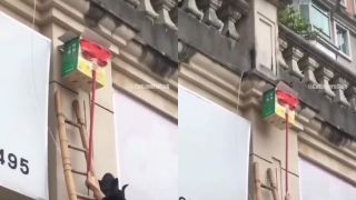 Mačku zachránili pomocou škatule