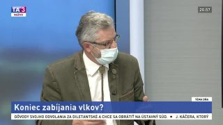 Za zabitie poľovníka finančná odmena. Vyhrážky kvôli vlkom
